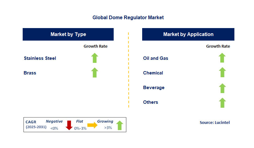 Dome Regulator Market by Segment