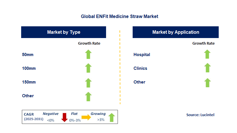 ENFit Medicine Straw Market by Segment