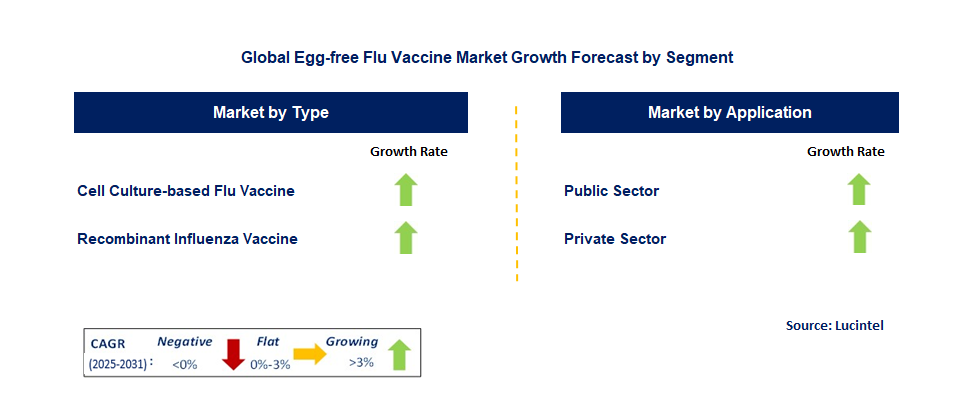 Egg-free Flu Vaccine Market by Segment