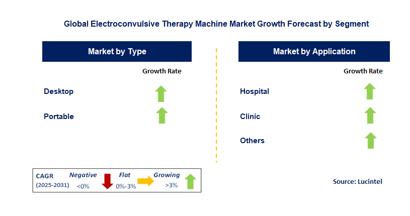 Electroconvulsive Therapy Machine Market by Segment