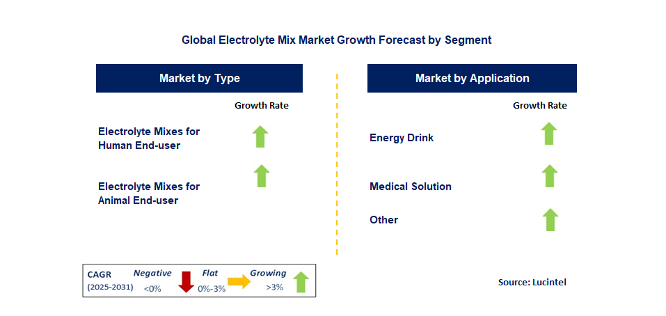 Electrolyte Mix Market by Segment