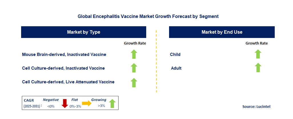Encephalitis Vaccine Market by Segment
