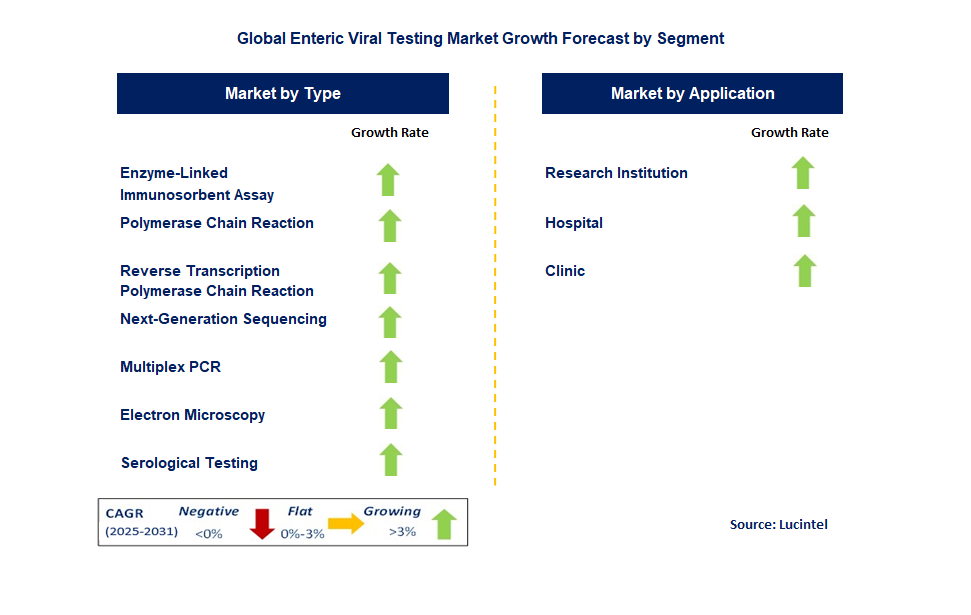 Enteric Viral Testing Market by Segment
