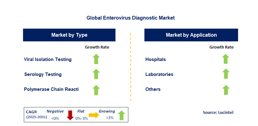 Enterovirus Diagnostic Market by Segment