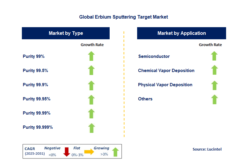 Erbium Sputtering Target Market by Segment