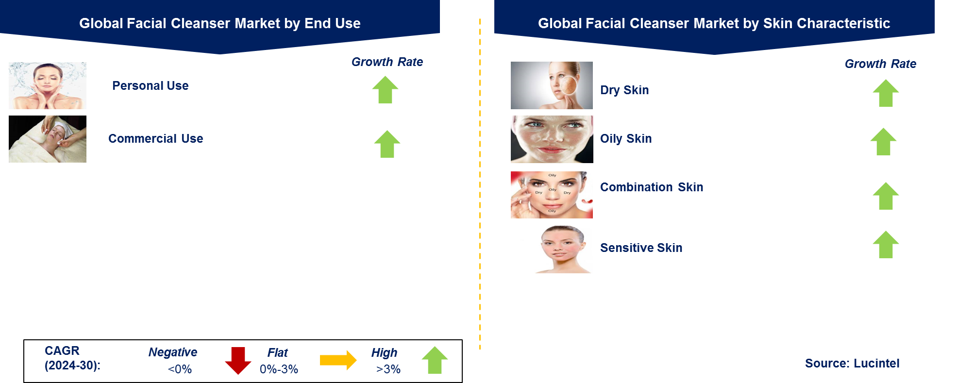 Facial Cleanser Market by Segment