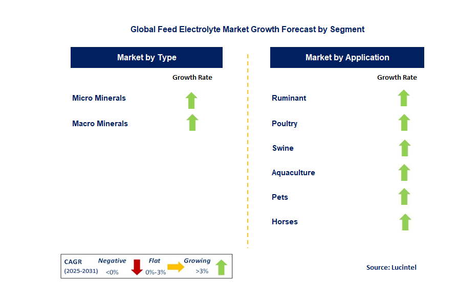 Feed Electrolyte Market by Segment