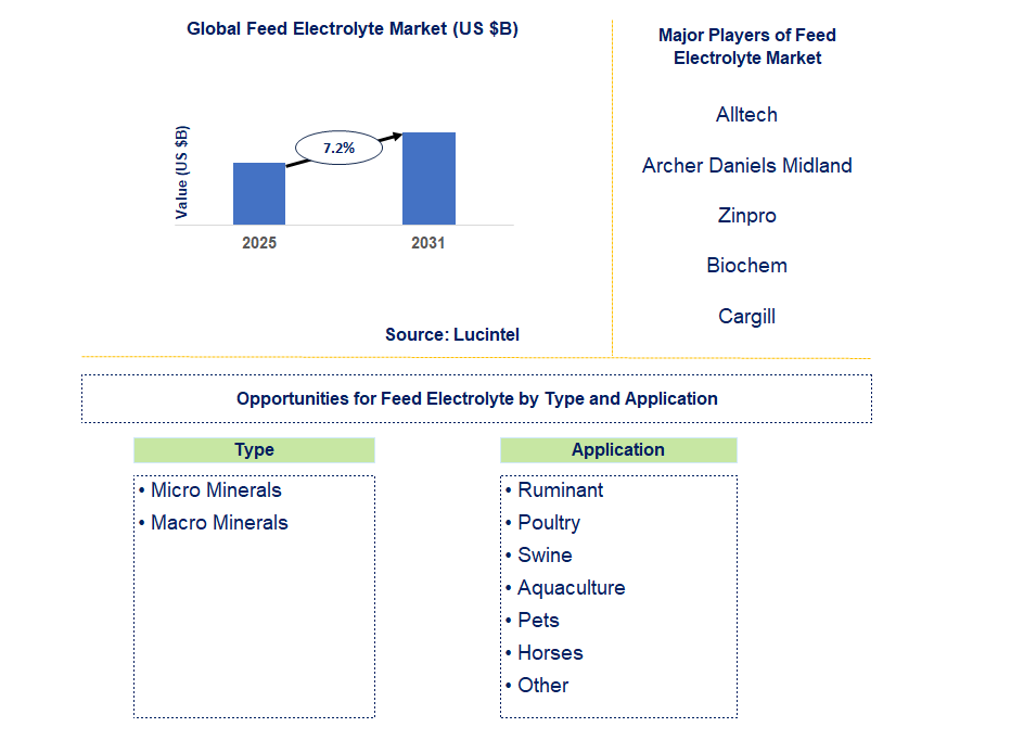 Feed Electrolyte Market Trends and Forecast