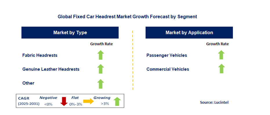 Fixed Car Headrest Market by Segment