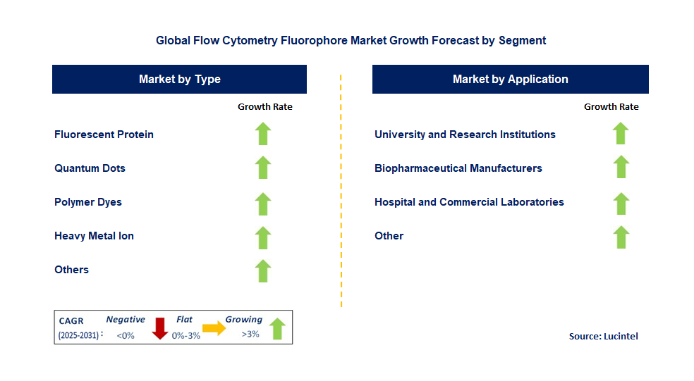 Flow Cytometry Fluorophore Market by Segment