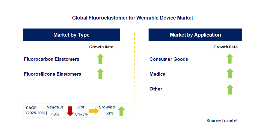 Fluoroelastomer For Wearable Device Market by Segment