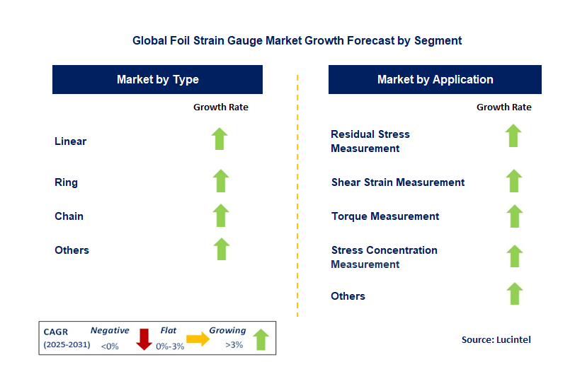 Foil Strain Gauge Market by Segment