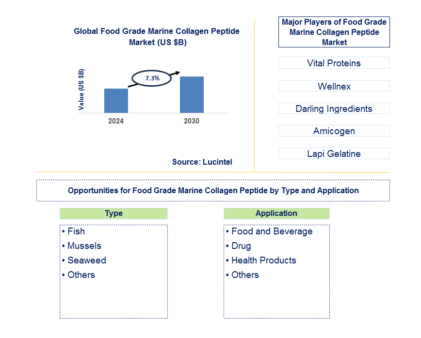 Food Grade Marine Collagen Peptide Trends and Forecast