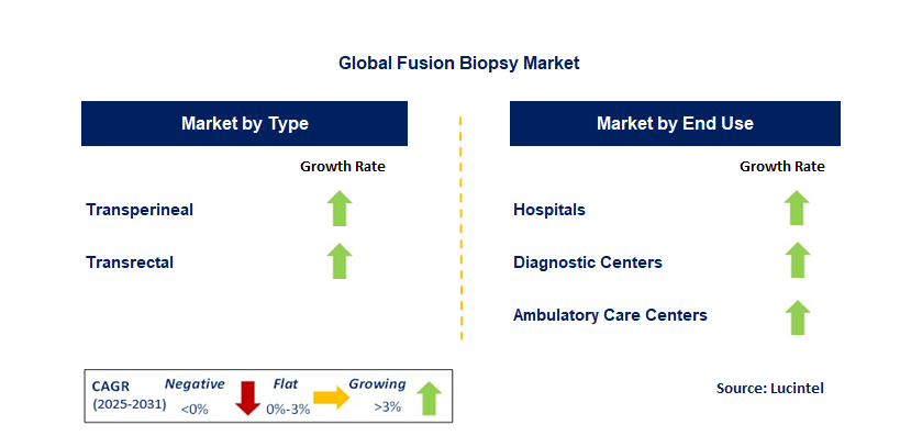 Fusion Biopsy Market by Segment