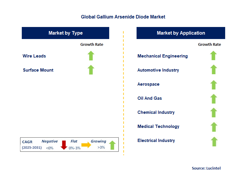 Gallium Arsenide Diode Market by Segment