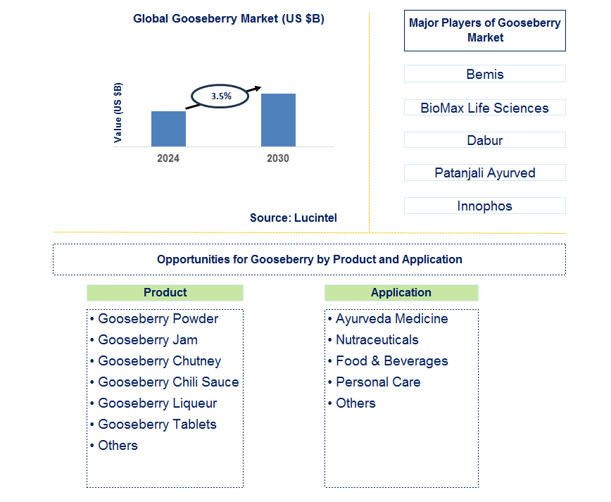 Gooseberry Trends and Forecast