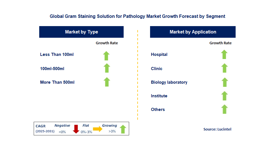 Gram Staining Solution for Pathology Market by Segment