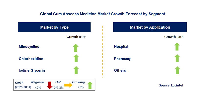 Gum Abscess Medicine Market by Segment
