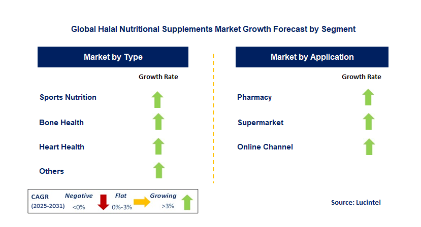 Halal Nutritional Supplements Market by Segment