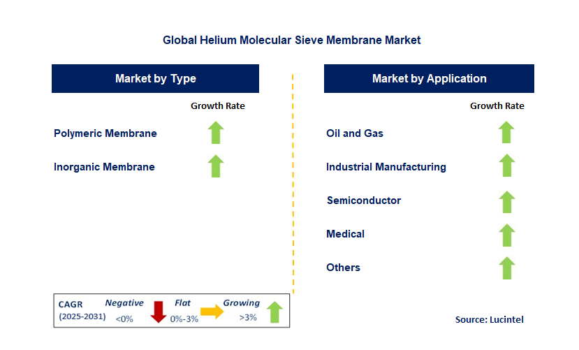 Helium Molecular Sieve Membrane Market by Segment