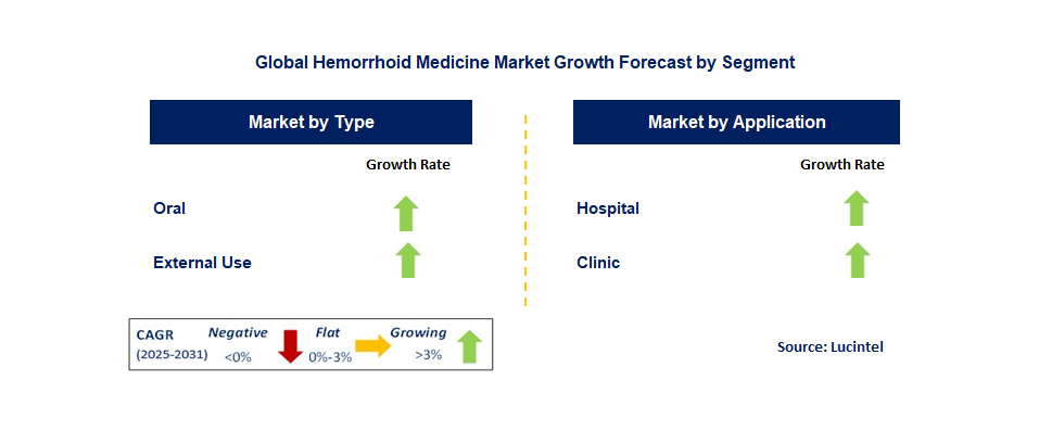 Hemorrhoid Medicine Market by Segment