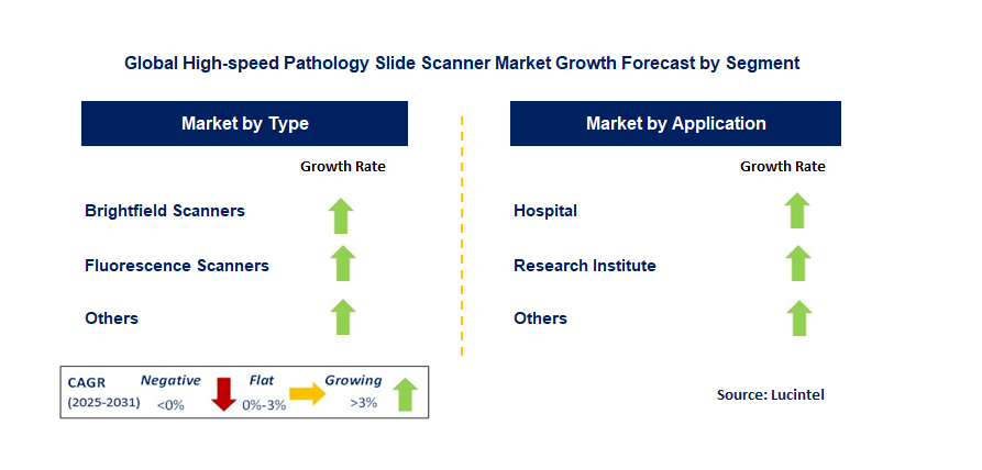 High-speed Pathology Slide Scanner Market by Segment