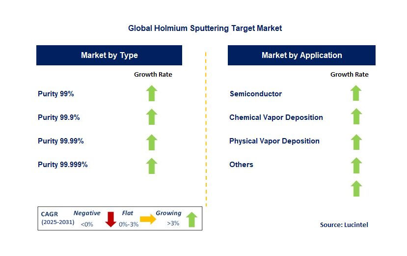 Holmium Sputtering Target Market by Segment