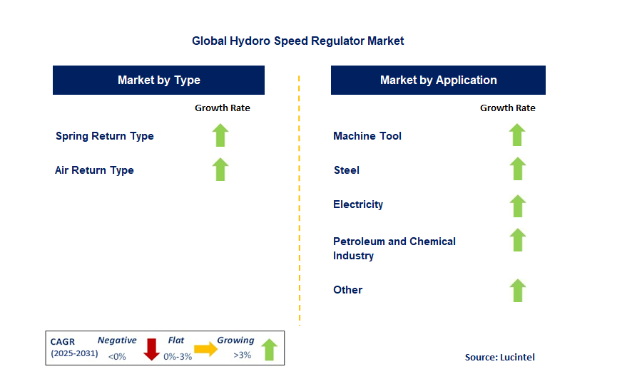 Hydoro Speed Regulator Market by Segment