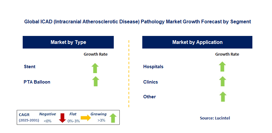 ICAD (Intracranial Atherosclerotic Disease) Pathology Market by Segment