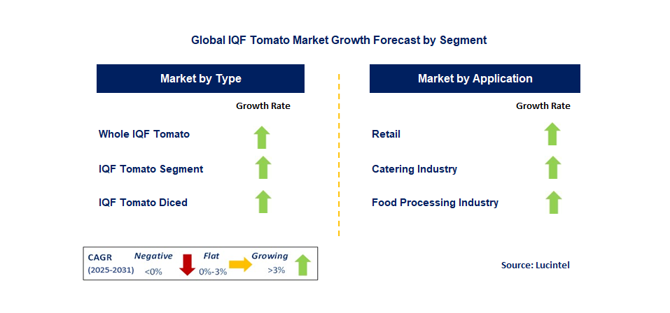 IQF Tomato Market by Segment