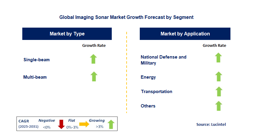 Imaging Sonar Market by Segment