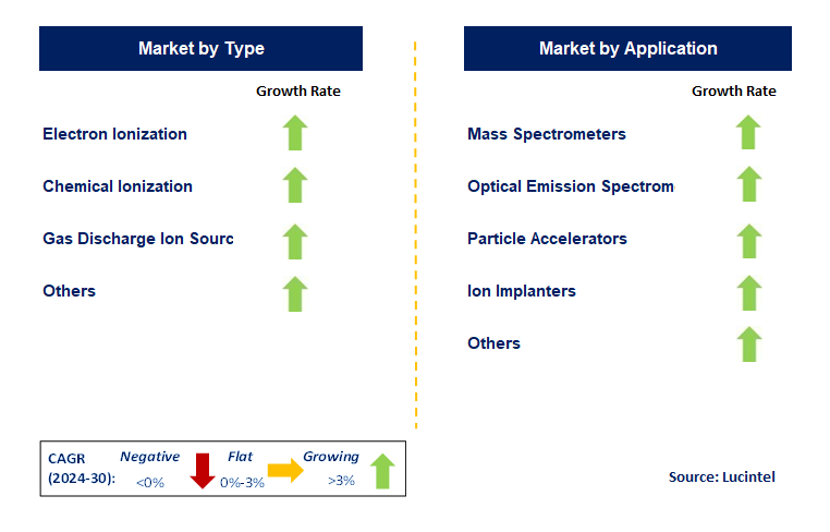 Ion Source by Segment