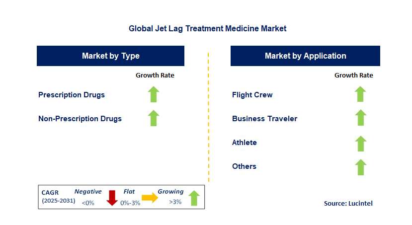 Jet Lag Treatment Medicine Market by Segment
