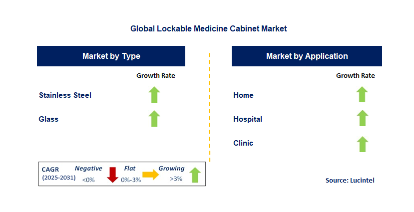 Lockable Medicine Cabinet Market by Segment