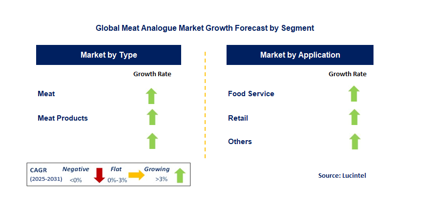 Meat Analogue Market by Segment