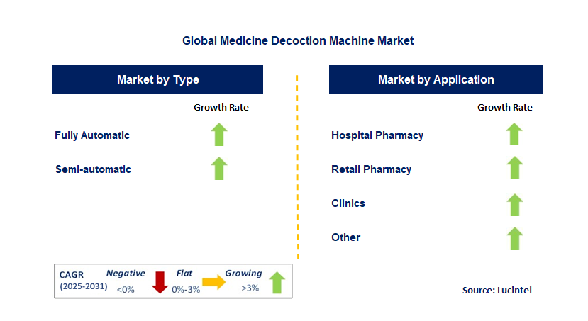 Medicine Decoction Machine Market by Segment
