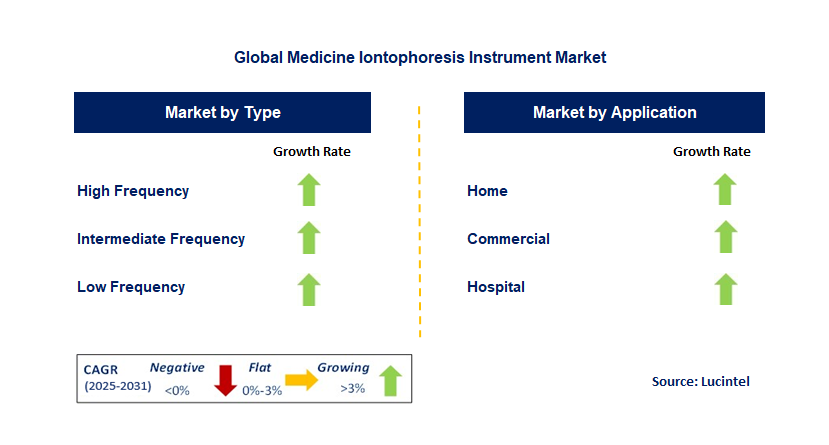 Medicine Iontophoresis Instrument Market by Segment
