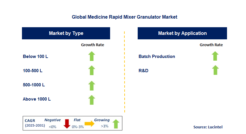 Medicine Rapid Mixer Granulator Market by Segment