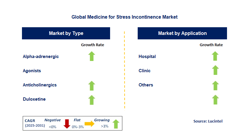 Medicine For Stress Incontinence Market by Segment