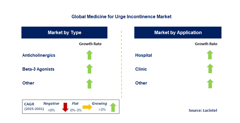 Medicine for Urge Incontinence Market by Segment