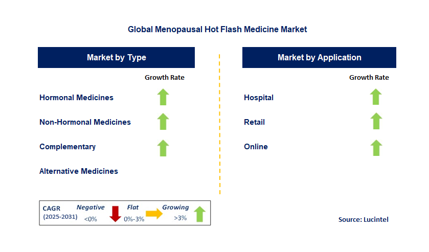 Menopausal Hot Flash Medicine Market by Segment