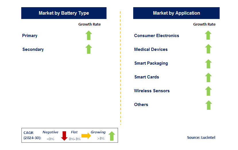 Micro Battery by Segment