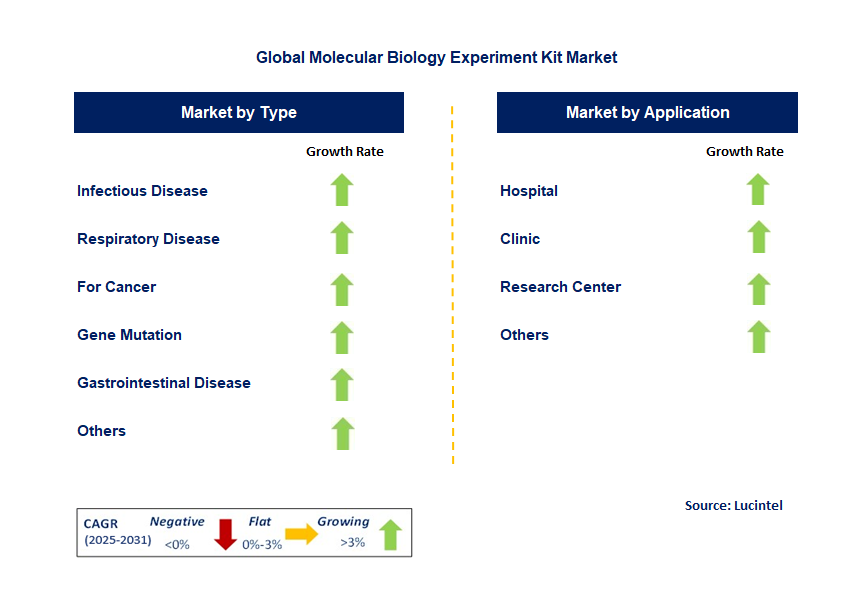 Molecular Biology Experiment Kit Market by Segment