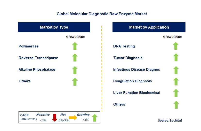 Molecular Diagnostic Raw Enzyme Market by Segment