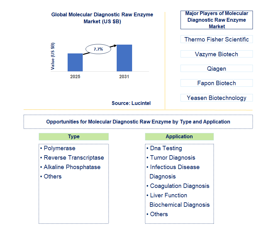 Molecular Diagnostic Raw Enzyme Market Trends and Forecast