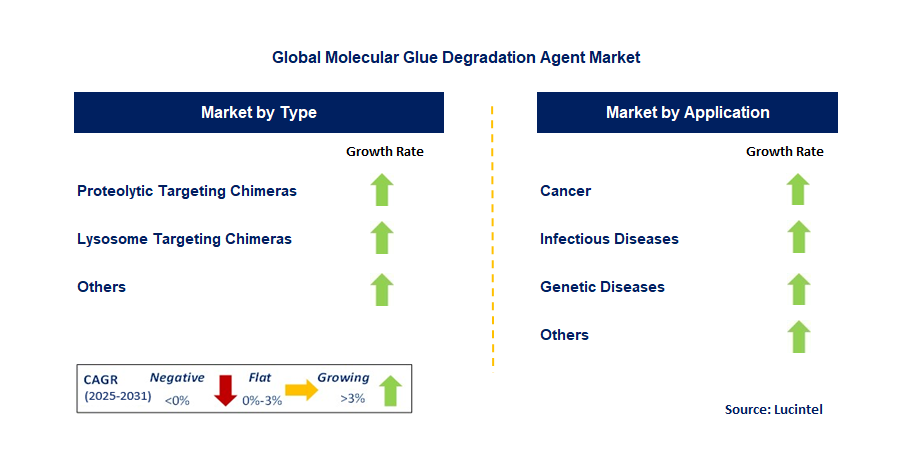 Molecular Glue Degradation Agent Market by Segment
