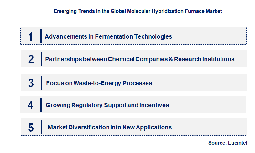 Emerging Trends in the Molecular Hybridization Furnace Market Emerging Trends in the Molecular Hybridization Furnace Market