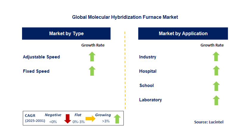 Molecular Hybridization Furnace Market by Segment
