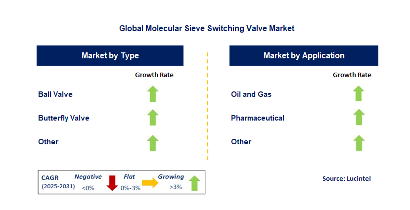 Molecular Sieve Switching Valve Market by Segment