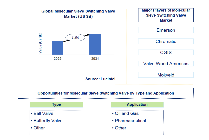 Molecular Sieve Switching Valve Market Trends and Forecast